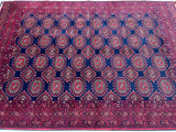 Tribal Afghan Roshnai Rug 2.6x1.7m