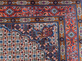 Fine Herati Persian Mood Rug 2.9x2m