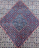 Fine Persian Birjand Rug 3.7x2.7m