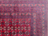 Tribal Afghan Bashiri Rug 3.3x3m