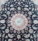 Superb Room Size Wool Hand Knotted Oriental Jaipur Nain Rug 257x206cm
