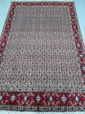 Full room size wool Herati handmade Persian Birjand rug 3.1x2.1m