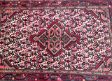 paisley-persian-rug