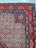 Mahi Persian Birjand Rug 3x2m