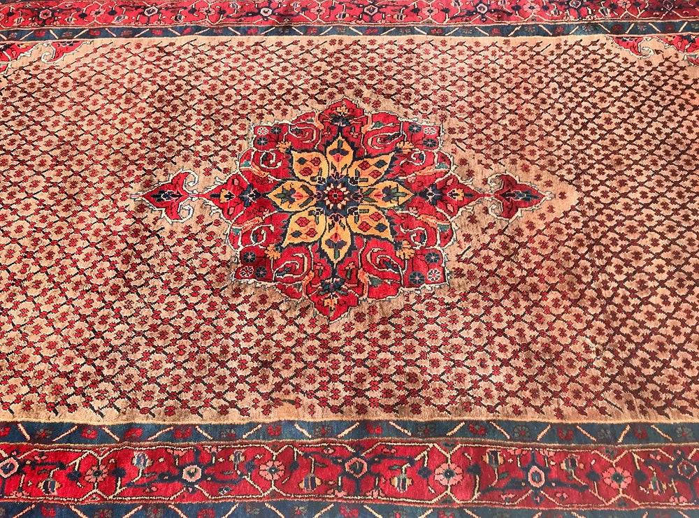 Tribal Persian Koliai Rug 3x1.6m