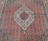 kurdish-Bijar-rug-Sydney